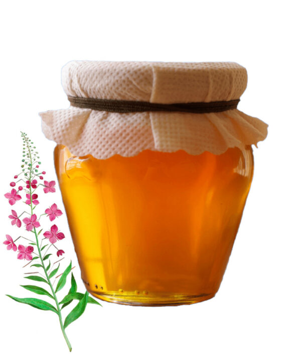 мед из цветов кипрея